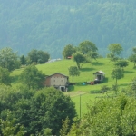 Conte Andrea - staol dei Madari